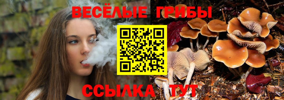 Псилоцибиновые грибы MAGIC MUSHROOMS Котовск