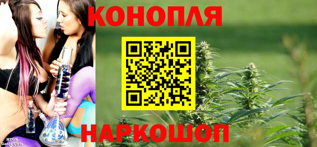 Каннабис план  Бошки Шишки гибрид  Котовск  Вход с VPN 